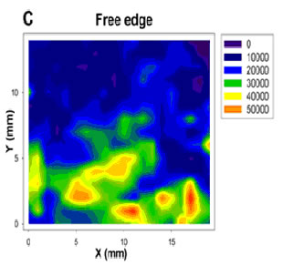 A nuclear diffraction image
